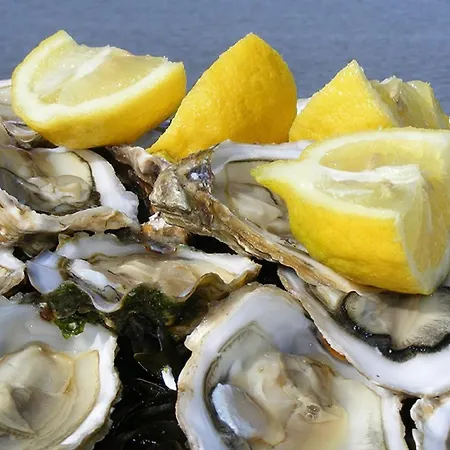 Bien Amenage A Jean De Monts Avec Vue Sur - Fr-1-323-425 * Saint-Jean-de-Monts