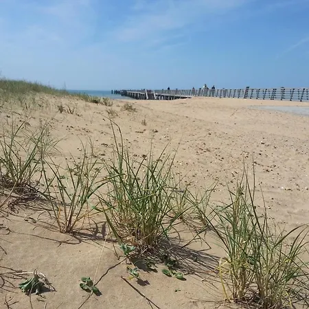 Bien Amenage A Jean De Monts Avec Vue Sur - Fr-1-323-425