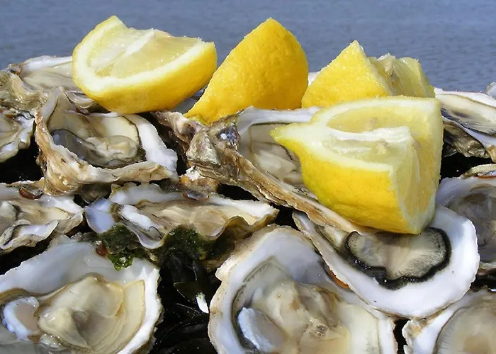 Bien Amenage A Jean De Monts Avec Vue Sur - Fr-1-323-425 * 생장드몽