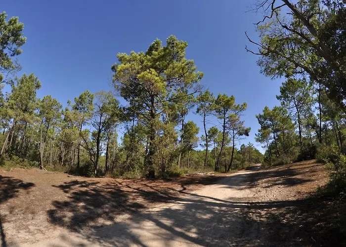 Bien Amenage A Jean De Monts Avec Vue Sur - Fr-1-323-425 아파트 생장드몽